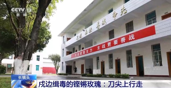 盛康优配 铿锵玫瑰&#32;走进缉毒女民警任莎莎的故事