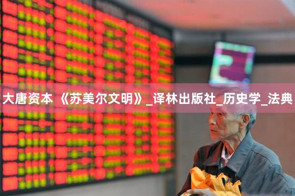 大唐资本 《苏美尔文明》_译林出版社_历史学_法典