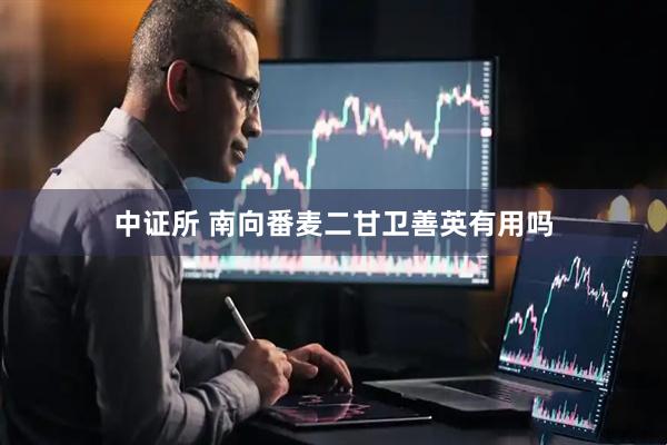 中证所 南向番麦二甘卫善英有用吗